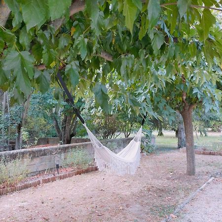 Reve D'Emma Bed & Breakfast Plan-dʼOrgon Dış mekan fotoğraf