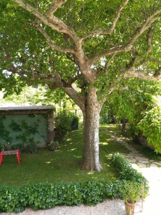 Reve D'Emma Bed & Breakfast Plan-dʼOrgon Dış mekan fotoğraf