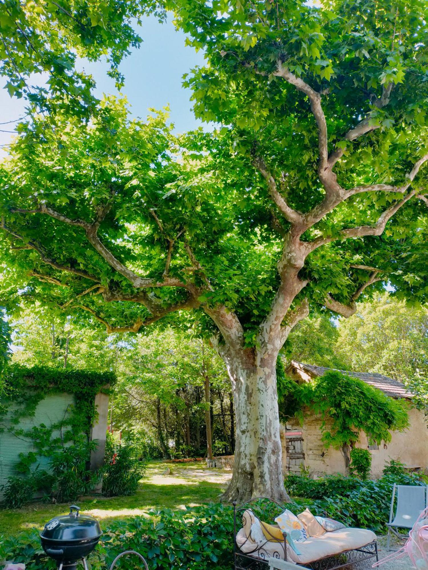 Reve D'Emma Bed & Breakfast Plan-dʼOrgon Dış mekan fotoğraf